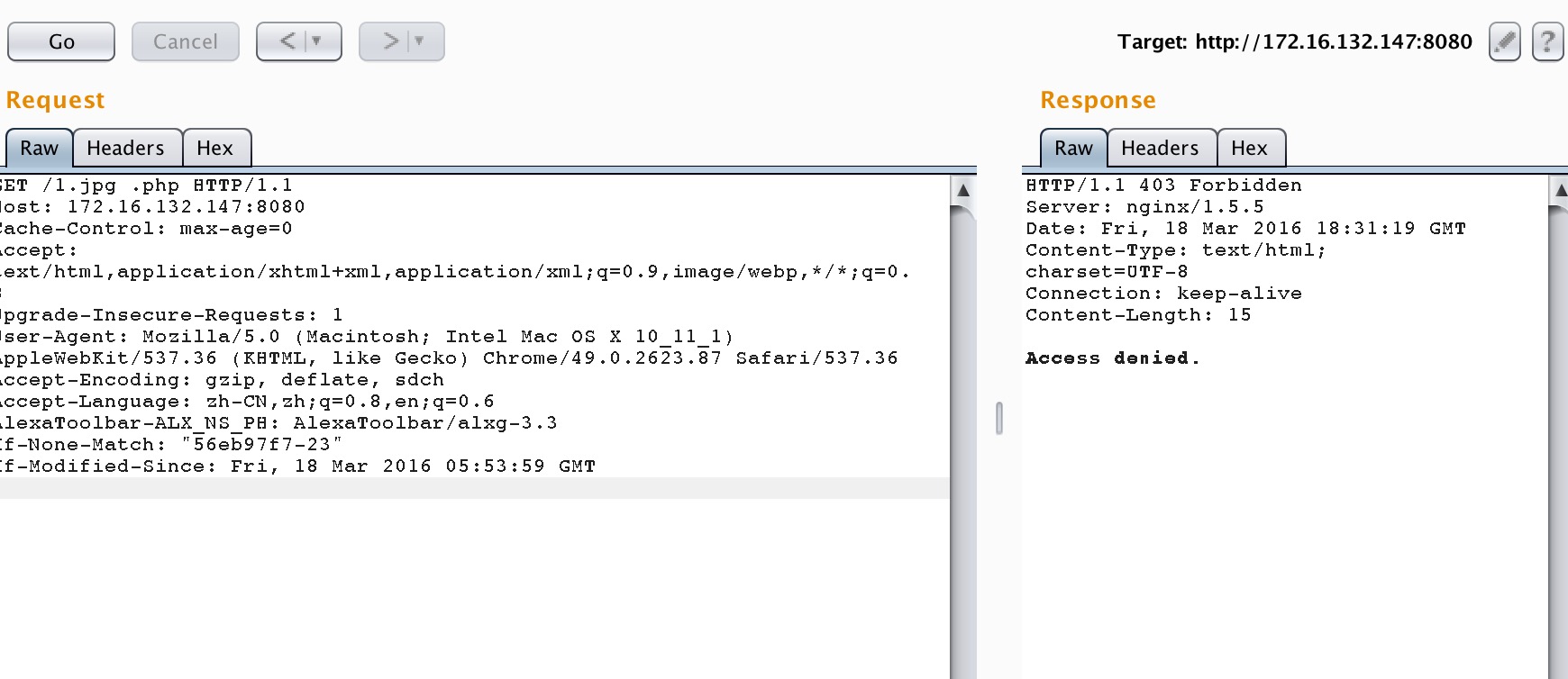 nginx_burp.png